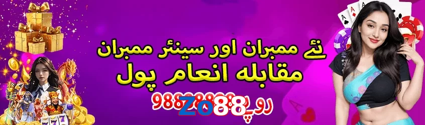 Zo88 interface sample